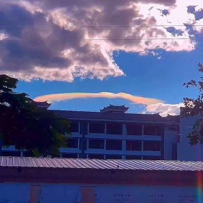 玩球体育app截图